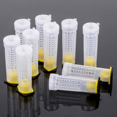 

〖Follure〗10 PCS Beekeeping Rearing Cup Kit Beekeeper Equipment Tools Bee Cages