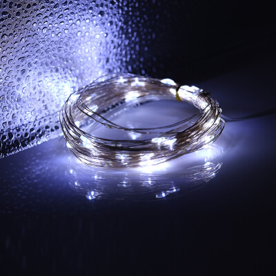 

50 LEDs 100 LEDs 200 LEDs 8 Function Mode Copper Wire String Light