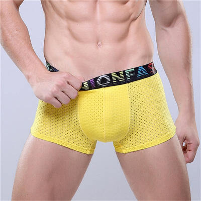 

Mens Underwear Ice Silk Mesh Breathable Modal Boxers Business Color Waist Shorts