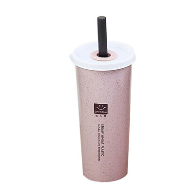 

Gobestart HOT Travel Office Coffee Tea Student Straws Water Bottle Cups Straw Wheat Cup