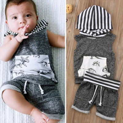 

2pcs Toddler Kids Baby Boy T-shirt TopsShorts Pants Outfit Dinosaur Clothes Set
