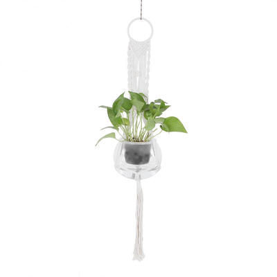 

Greensen Hand-crafted Plant Hanger Wall Hanging Flower Pot Holder Cotton Rope for Indoor Garden Decor