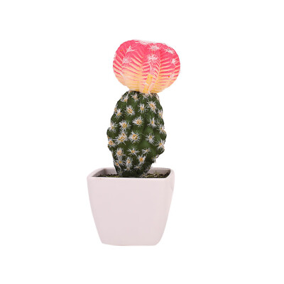 

Toponeto Simulated Potted Cactus Artificial Green Plant Potted Flower Art Home Decor