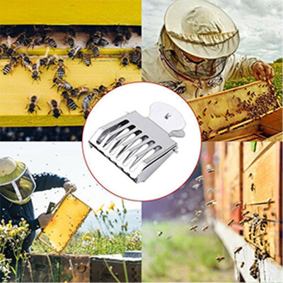 

Siaonvr Stainless Steel Cage Clip Bee Catcher Beekeeper Beekeeping Equipment