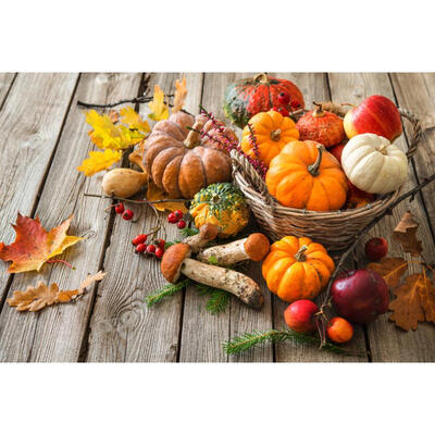 

5D DIY Full Drill Diamond Painting Vegetables Cross Stitch Embroidery Kits