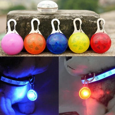 

LED Pet Dog Cat Collar Nite Night Light Safety Clip Flashing Neon Pendant NEW
