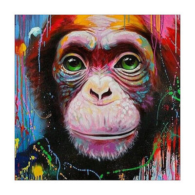 

5D DIY Full Drill Diamond Painting Monkey Animal Cross Stitch Embroidery