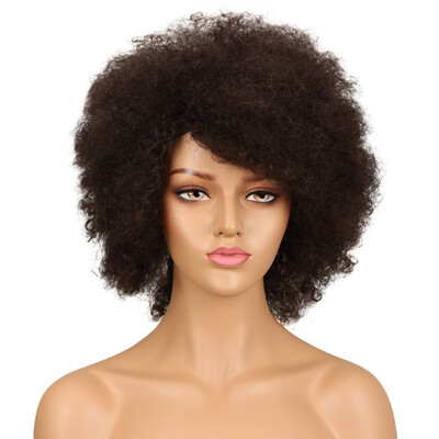

Noble Afro Kinky Curly Wig Brazilian Human Hair Wigs Remy Non Lace Front Wig Free Shipping
