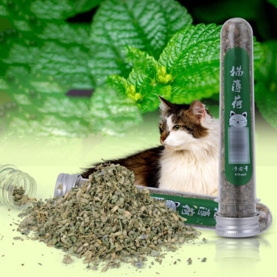 

40ml Fresh Organic Dried Cat Catnip Nepeta cataria Leaf Flower