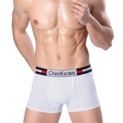 

High End Dot Printed Mens Underwear Boxers Breathable Cotton Boxer Brief Shorts Underpant