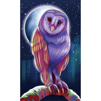 

5D DIY Full Drill Diamond Painting Cute Moon Bird Cross Stitch Embroidery