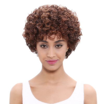 

Noble Brazilian Afro Kinky Curly Human Hair Wig Remy Short Human Hair Wigs For Women Black Mix Color Non Lace Wig Free Shipping
