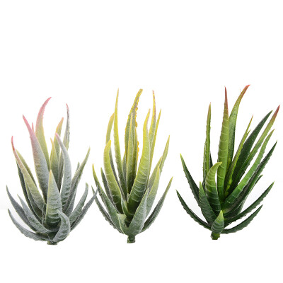 

Artificial Succulents Craft Floristry Decoration Plastic Plants Aloe PVC