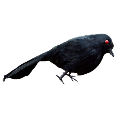 

Stuffed Feathered Black Raven Crow Bird Decoration Fancy Dress Halloween