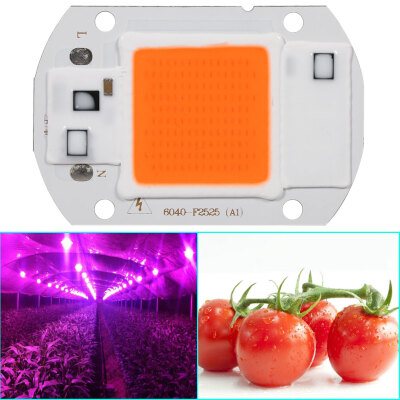 

110V Full Spectrum Led COB Chip Grow Light Growth Lamp Garden Hydroponic Plant 20W30W50WCOB LedLed Grow Lamp