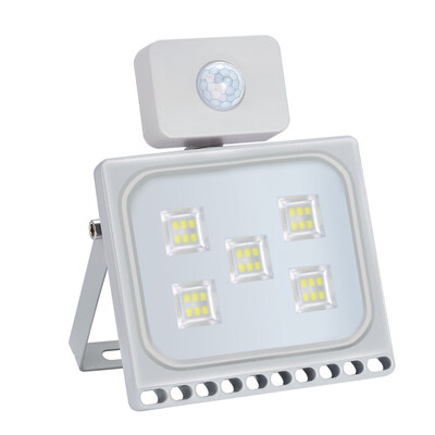 

LED Flood Light 30W PIR Motion Sensor Floodlight Driveway Security 110V
