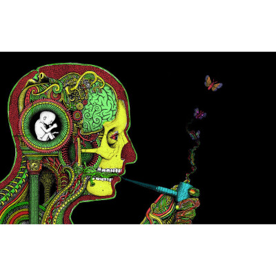 

Gobestart Psychedelic Trippy Art Fabric Cloth Rolled Wall Poster Print 20x13 Inches