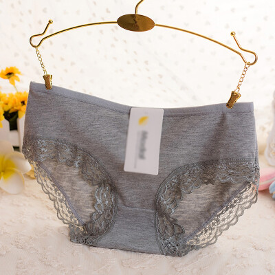 

CharmLeaks Womens Cotton Bikini Panties Lace Trim Underwear Briefs Multi Pack