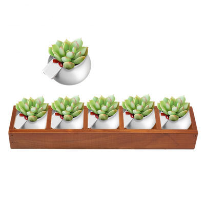 

Greensen 5 Slots Multifunctional Wooden Succulent Storage Box Organizer for Potted Plant Makeup