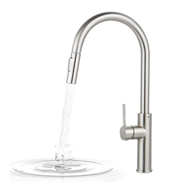 

Bar Sink Faucet Single-Hole Single-Handle Pull-Out Sprayer Bathroom Faucet with Dual Spray in Chrome Lead-Free