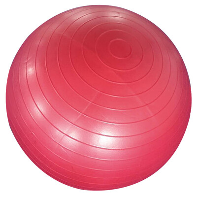 

Folca training ball Pasteum 75cm