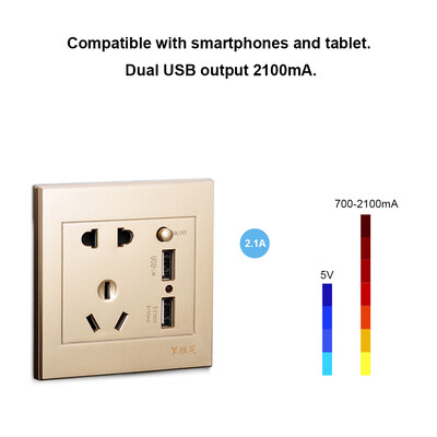 

Electric Outlet with 2 Sockets&2 USB Ports Wall Mount Socket Gold