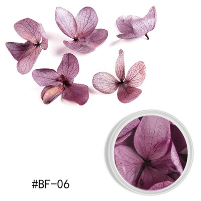 

Toponeto Nail Ornament Dry Flower Color Petals Ziyang Flower Nail Dry Nail DIY Decoration
