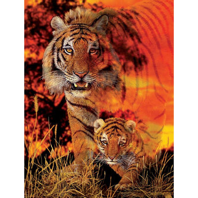 

5D DIY Full Drill Diamond Painting Cross Stitch Embroidery Kit Wall Art