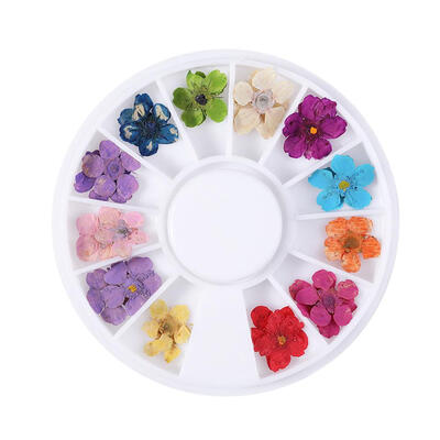 

1 Box Dried Flowers Nail Decoration Natural Floral Stickers Nail Art Decals