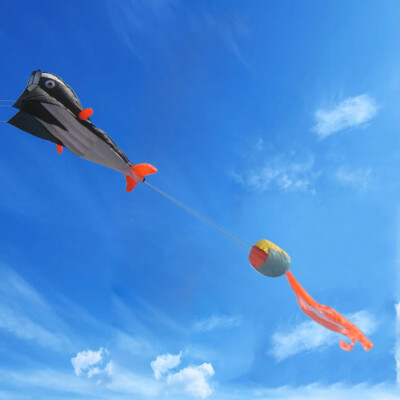 

Tailored software dolphins Long Tail Beach Kites-Perfect Toy for Kids&Adults Outdoor