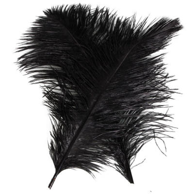 

10pcs Ostrich Feathers for DIY Crafts Dress Home Party Decoration Black