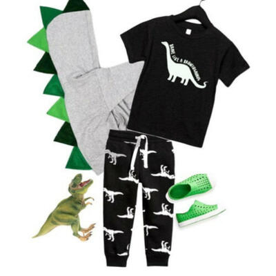 

Toddler Kids Baby Boy Cotton Tops T-shirt Cartoon Dinosaur Pants Legging Outfits
