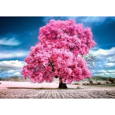 

Toponeto 5D Embroidery Paintings Rhinestone Pasted DIY Diamond Painting Cross Sti