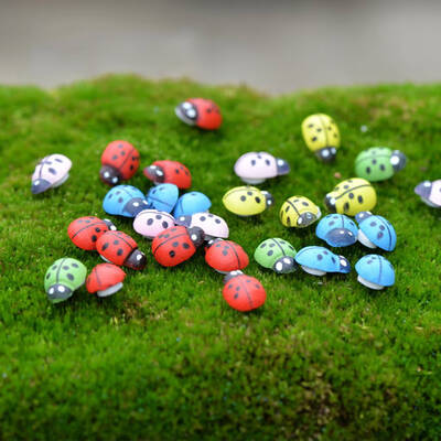 

50 Pcs Handmade Beetle Micro Landscape Decoration Wooden Ladybugs Moss DIY Crafts Bonsai Decor Accessories