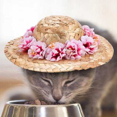 

Greensen Pet Dog Straw Sombrero Hat Flower Collar Funny Dog Costume Kit Pastoral Photography Prop