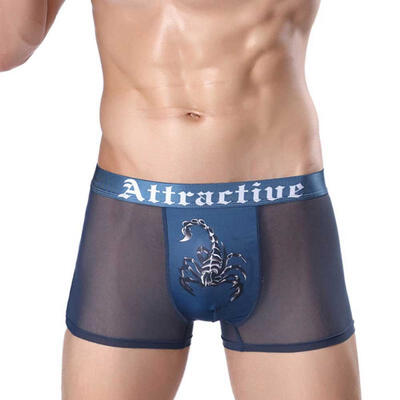 

Mens Ice Silk Boxers Sexy Ultra Slim Mesh Underwear