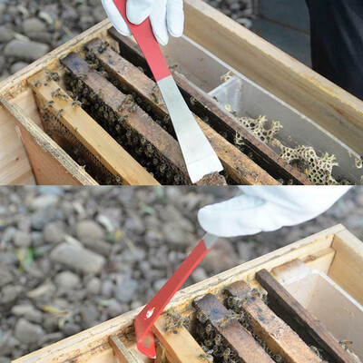 

Siaonvr Multifunctional Bee Scraper Beekeeping Tool Stainless Steel Cut Honey Wood