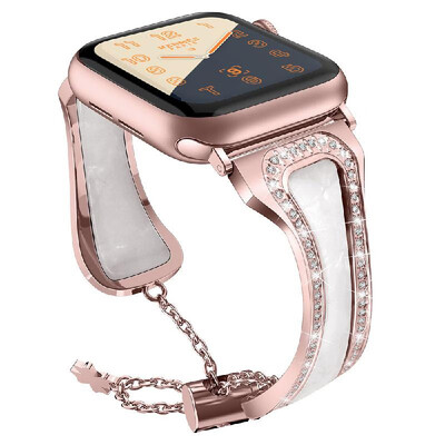 

Metal Stainless Steel Resin Wrist Strap Watchband Replacement Smart Watch Accessory