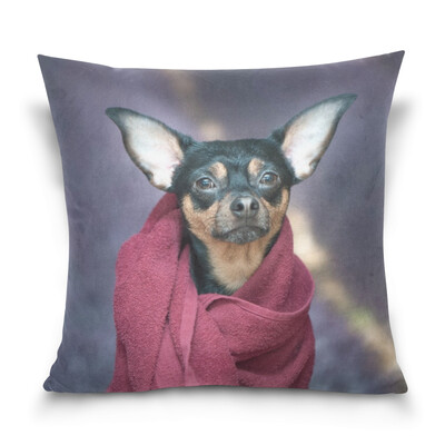 

ALAZA Throw Pillow Case Decorative Pillow Covers 16 X 16 inch Funny Puppy Dog Pattern Pillowcase