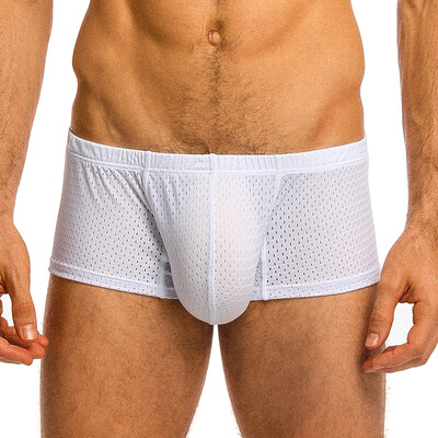 

Men Mesh Lingerie Boxer Briefs Trunks Low Rise Elastic Waist Plus Size Underwear