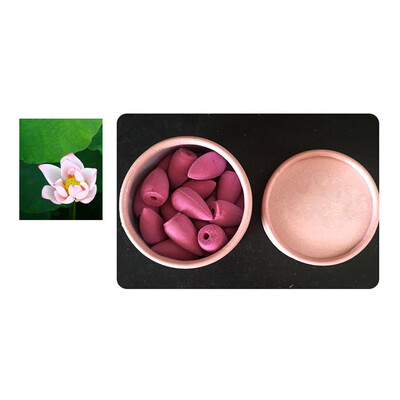 

〖Follure〗25pcs Smoke Tower Cones Bullet Backflow Incense Hollow Cone