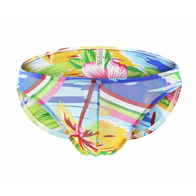 

Men Sexy Low Rise Panties Bulge Pouch Printed Underwear Breathable Briefs Bikini