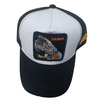 

Goku Dragon Ball Z Cap Goku vegetta Hat Baseball snapback anime kame presell