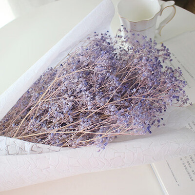 

FUNNYBUNNY Dried Babys Breath Flower Dried Gypsophila Dried Wheat Stalks Natural Babys Breath