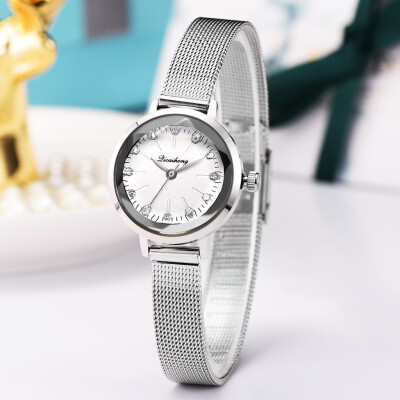 

RM Fashion Simple Pseudo Brick Stone Scale Silver Mesh With Quartz Womens Watch