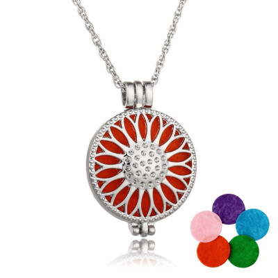 

Retro Hollow Aromatherapy Essential Oil Diffuser Perfume Locket Pendant Necklace