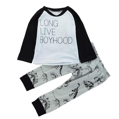 

Casual Autumn Kids Boys Clothes Set 2pcs Cute Dinosaur T-shirt Pants Suit