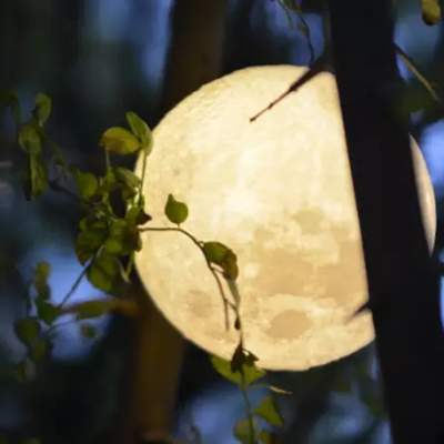 

Gobestart 3D USB LED Magical Moon Night Light Moonlight Table Desk Moon Lamp Gift