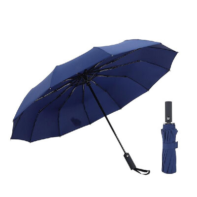 

12 Ribs Windproof Travel Umbrella with Tefloning Canopy Auto OpenClose 23inch Folding Umbrella Protection from Rain