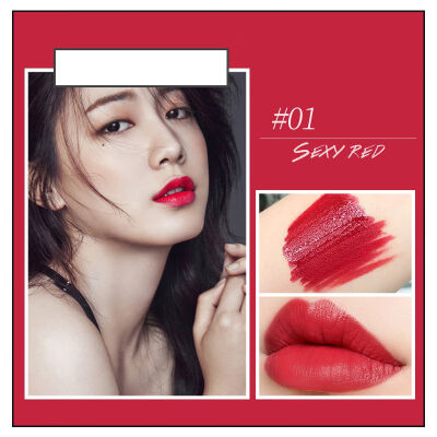 

Lipstick maquiagem Matte Waterproof Velvet Lip Stick Sexy Red Pigments Makeup Matte Beauty Lips 6 Colors